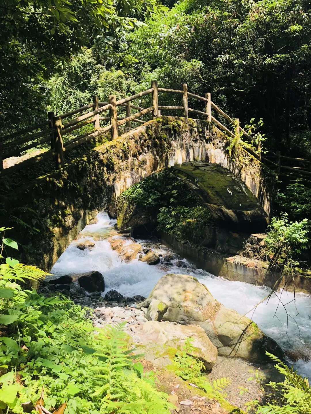 独眼萌怪吃金币